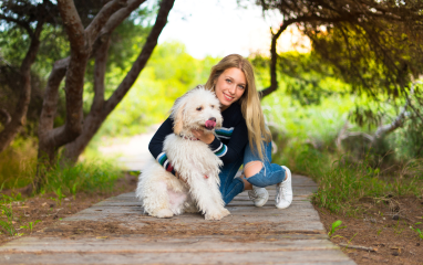 Fun Activities to Do with  How to  Your Pet