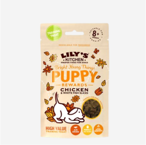 Interactive Cat Feeder