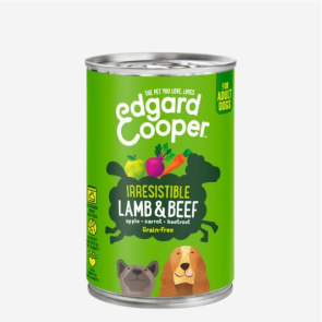 Heavy-Duty Bird Swing